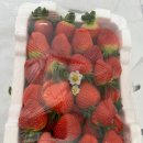 고일농장 이미지