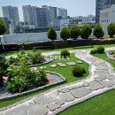 365매일한방병원 앞 이미지