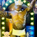 고릴라쉐프 이미지