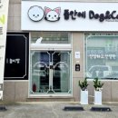 도그앤캣 네이버블로그