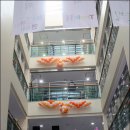 서현청소년 이미지