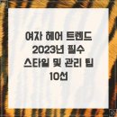 쌍용(아) 이미지