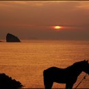 제주도 푸른밤 이미지