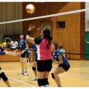 강진여자중학교 이미지