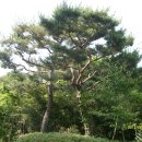 이희재농장 Daum카페
