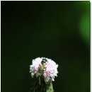 해여림식물원 이미지