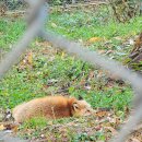 미호농장 | 청주랜드 동물원 아이랑 갈만한곳 추천