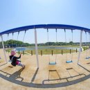 그린파크카 이미지