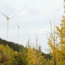 청송 태양광발전소 이미지