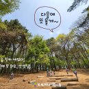 미래숲어린이집 티스토리