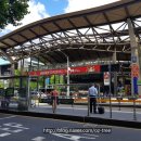 써던크로스 이미지