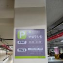 부전천 | (부산 산책 추천) 부산 시민공원 산책 후기