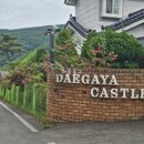 대가야 캐슬펜션1 이미지