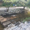 양영디지털고 앞 이미지