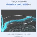 아테화장품 | [화장품후기]에스트라_아토베리어 세라-히알수분앰플