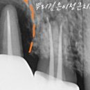 뿌리깊은치과의원 이미지