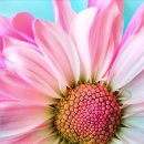 우리함개 이미지