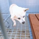 덕인목장 이미지