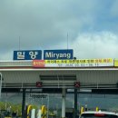 아름찻집 | [밀양 가볼만한 곳] 이팝나무로 유명한 위양지 4월 여행 후기 | 주차장, 포토존, 버스 정보