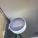 텐즈힐 애견미용 | 왕십리 애견미용 안전이 우선적인 세심한 미용실 도그올로지