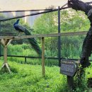 작은 동물원 이미지