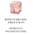 인셀덤 뷰티라이프