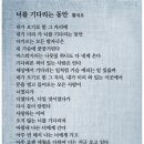 진달래노래바
