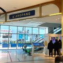 강릉 반려견 호텔 유치원 로젯펫살롱 교동본점 | [공지] 강릉 세인트존스 호텔 애견동반 펫룸 후기｜반려견 동반 숙소 솔직 리뷰