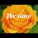 Bette Midler - The Rose 이미지