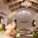 바이벨라 이미지