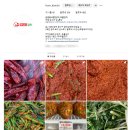 전라도김치 주문 [프롬김치] 추천 / 맛있는 파김치 포기김치 깍두기 내돈내산