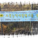 임동초등학교 이미지