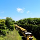 에코랜드 이미지