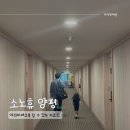 신내당구장 | 아이랑 다녀와본 소노휴 양평 대명리조트 솔직후기! 스위트룸 2박3일