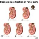 광주주사랑의원 이미지