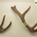 경희상생한의원 이미지