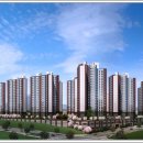 금성 담쟁이 이미지