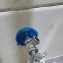 시골본가