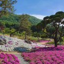 가산수피아 이미지