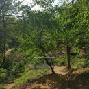 게이트볼장 입구 이미지