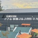 코코숲 이미지