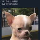예솔