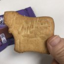 이건사자 이미지