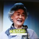 청춘요가 Daum카페