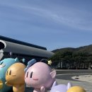 대전 별서 가성비 한옥 독채펜션 내돈내산 제월당 후기(예약 링크)