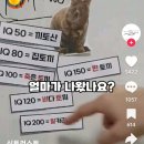 엄소아과의원 이미지