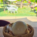 도원산장 이미지