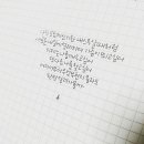 데이그래피 이미지