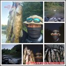 상목 | 장례마스터 염쟁이강씨의 강행군~~~ 주말 힐링!!! 산전수전!!! 후기