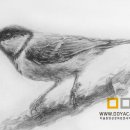 데생 중급 이미지